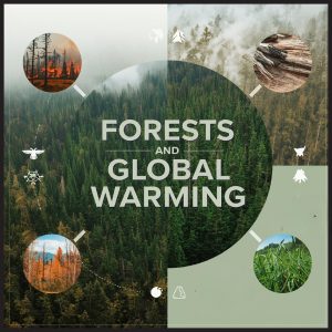 Forests and Global Warming