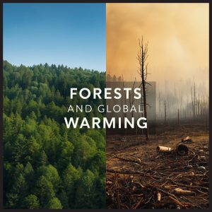 Forests and Global Warming