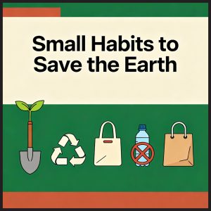 How to Reduce Carbon Footprint